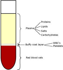 Hemoglobin To Hematocrit Conversion Chart