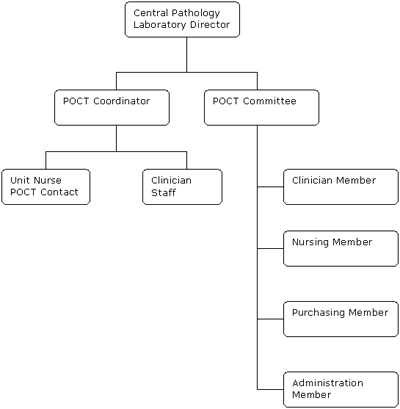 Organizational architecture of POCT management in an NHS hospital trust