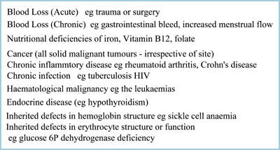 Anemia Summary Chart