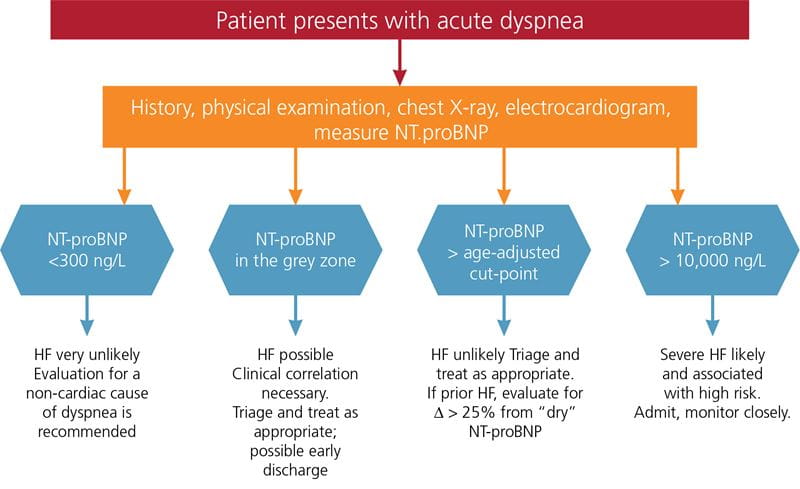 Natriuretic Peptide Testing For Heart Failure Diagnosis Inpatient Management And Outpatient Cardiac Care