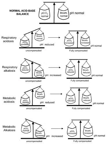 An introduction to acid-base balance in health and disease