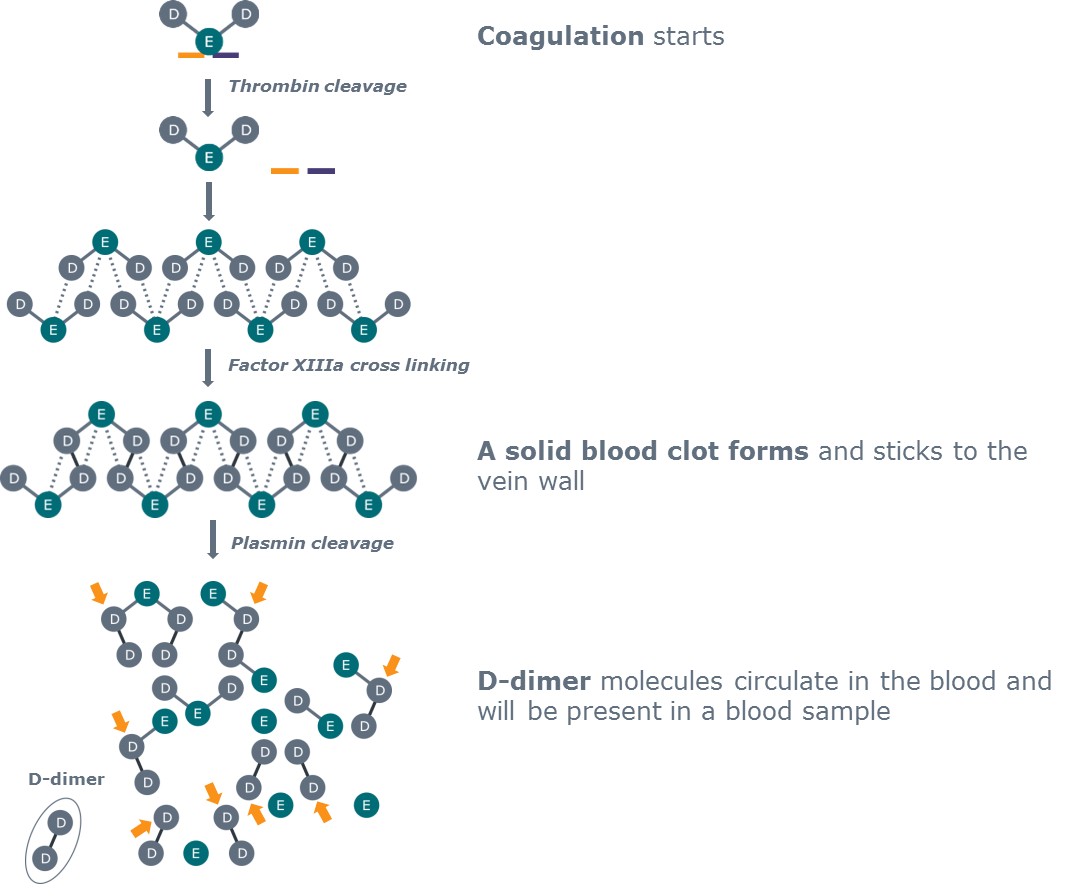 The clinical use of a Ddimer assay